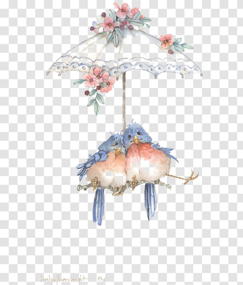 Lovebird Drawing Clip Art - Umbrella Transparent PNG