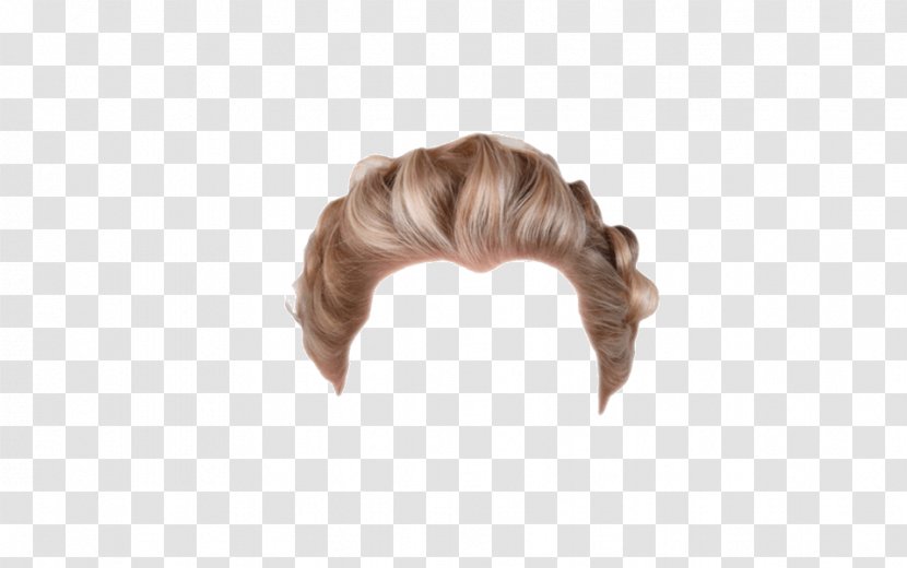 Hairstyle Wig Blond Brown Hair - Costume Transparent PNG