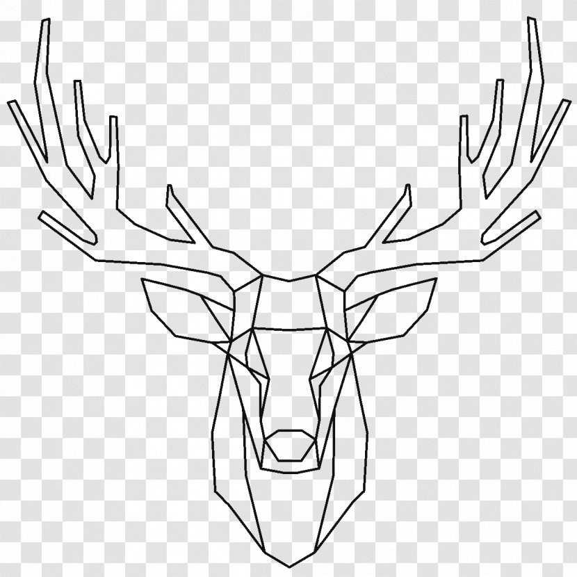 Red Deer Elk Reindeer - Antler Transparent PNG