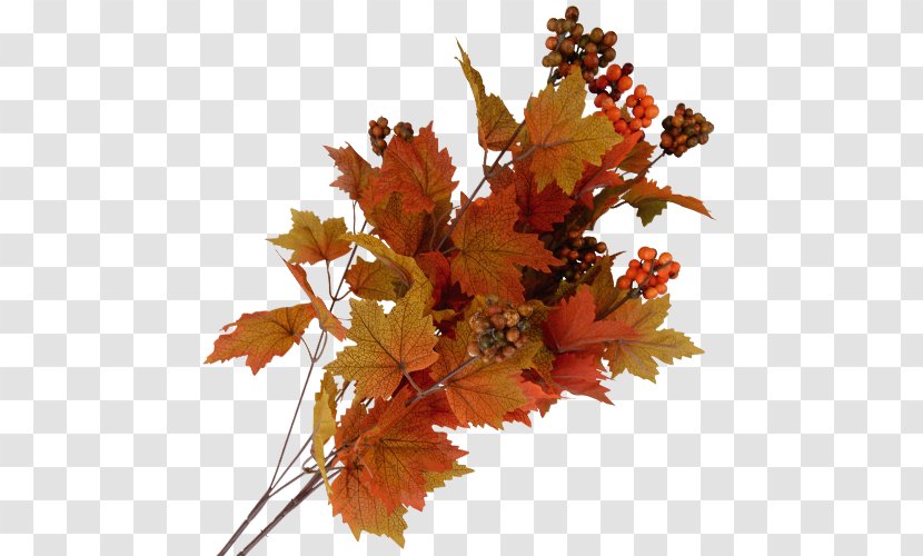 Autumn Action Rain Leaf Kleurplaat Transparent PNG