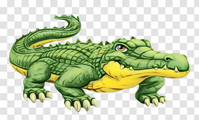 Crocodile Crocodilia Alligator Reptile Green Transparent PNG