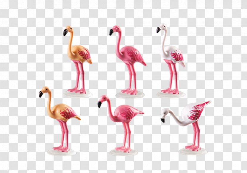 Playmobil Action & Toy Figures Doll Greater Flamingo - Frame Transparent PNG