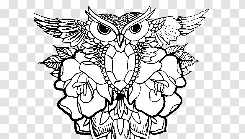 Little Owl Drawing Coloring Book - Bird - Color Transparent PNG