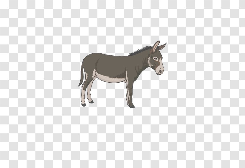 Donkey - Mustang Horse - Animation Transparent PNG
