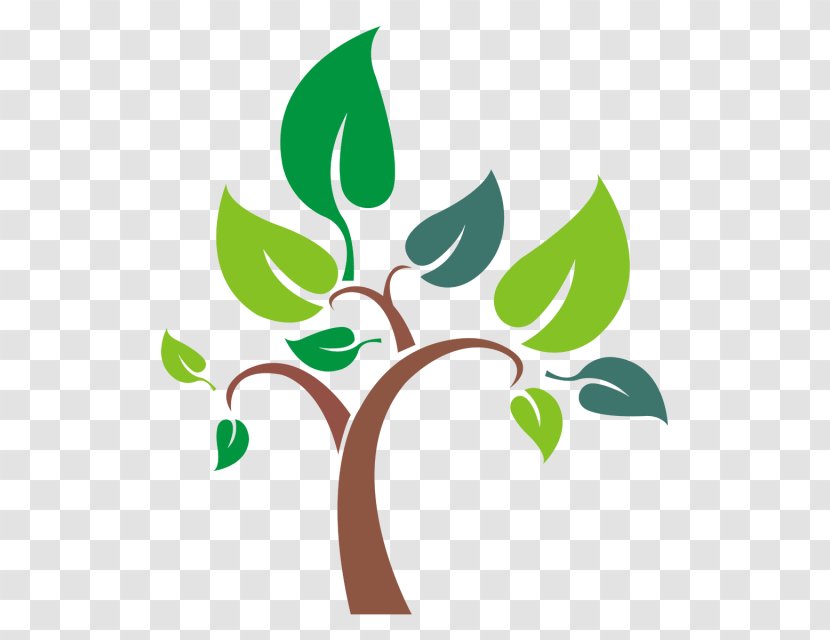 Tree - Plant Stem - Design Transparent PNG