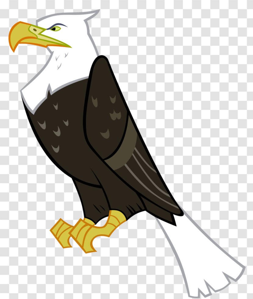 Bald Eagle My Little Pony - Twilight Sparkle - Ben Vector Transparent PNG