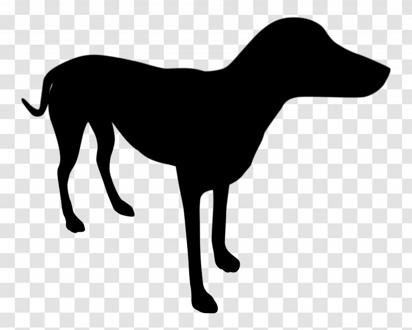 Italian Greyhound Dog Breed Longdog Clip Art - Tail Transparent PNG