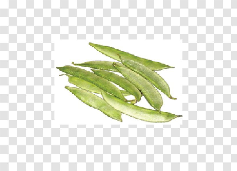 Vegetable Green Bean Legume Lima Snap Pea - Seed - Fresh Vegetables Transparent PNG