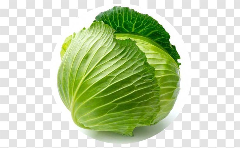 Savoy Cabbage Red Vegetable - Leaf Transparent PNG