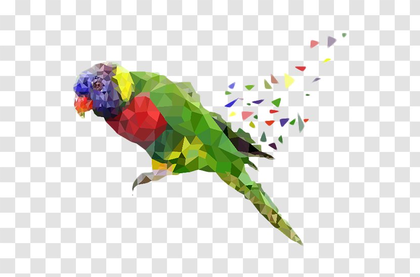 Parrot Fundal Parakeet - Bird - Hand-painted Material Picture Transparent PNG