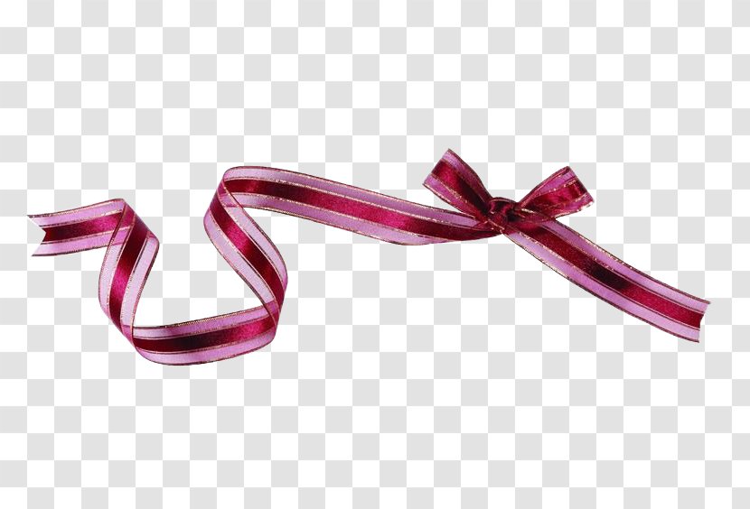 Ribbon Shoelace Knot - Shoelaces Transparent PNG