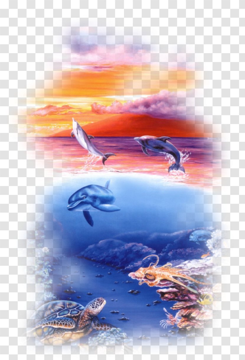 Dolphins In The Ocean Oil Painting Art - Baleen Whale - Dolphin Transparent PNG