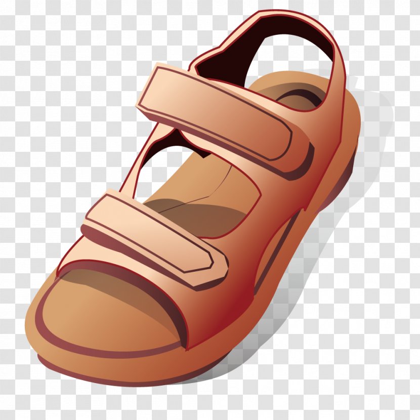 Sandal Shoe Flip-flops Euclidean Vector - Clothing - Hand-painted Sandals Cartoon Transparent PNG