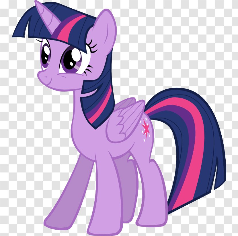 Twilight Sparkle Rainbow Dash Pony Princess Cadance Celestia - Cartoon - My Little Transparent PNG