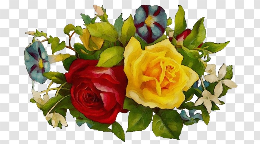 Garden Roses - Rose - Flower Arranging Floristry Transparent PNG
