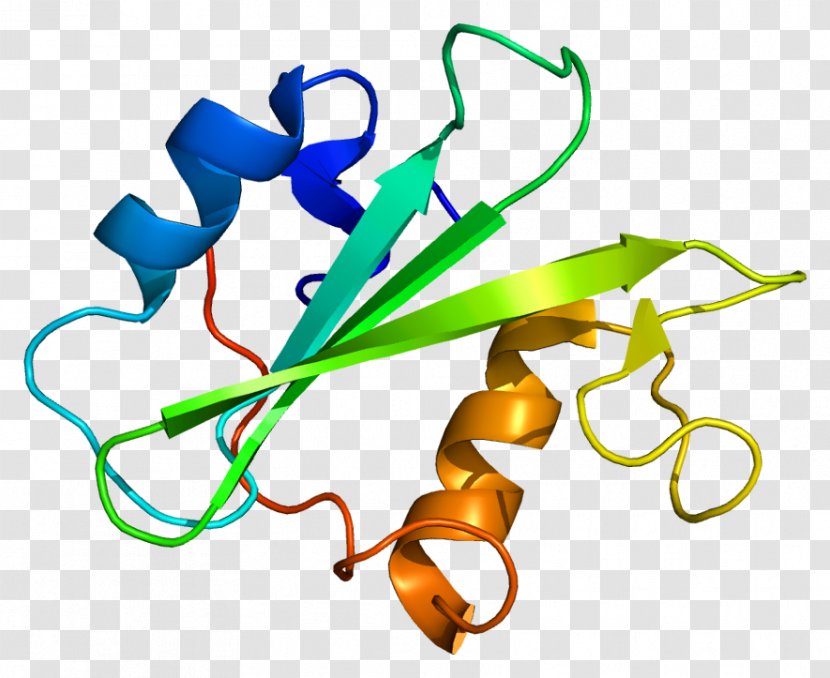 Megakaryocyte-associated Tyrosine Kinase Protein Leukocyte Receptor - Jakstat Signaling Pathway Transparent PNG