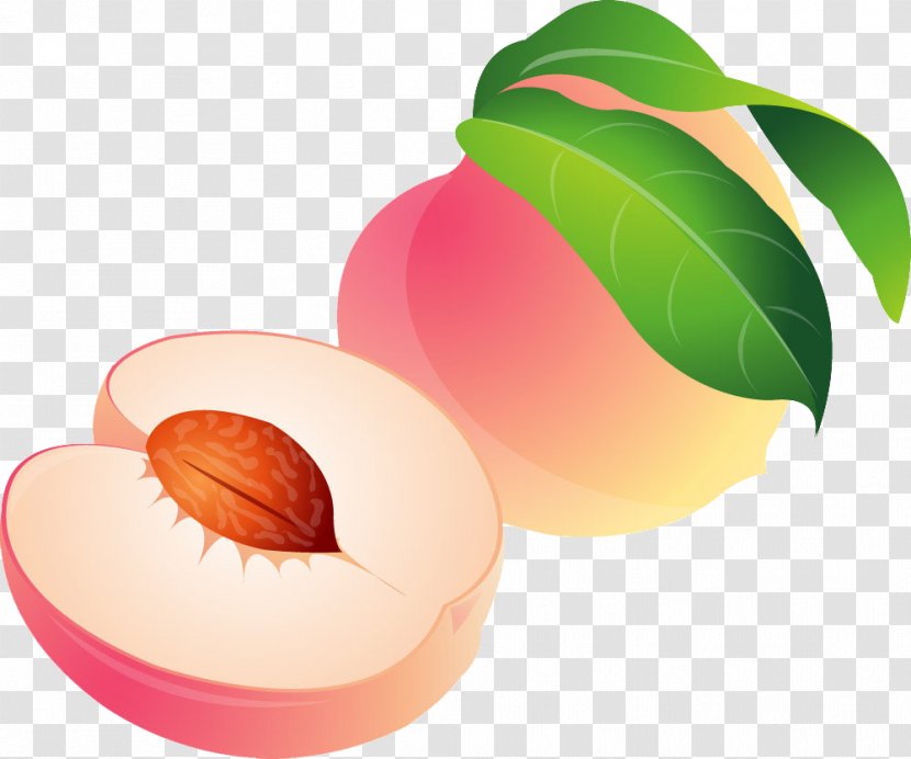 Peach Cartoon Poster - Apple Transparent PNG
