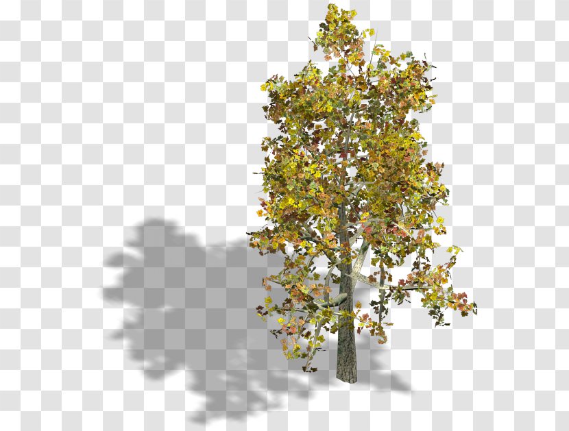 Twig Isometric Graphics In Video Games And Pixel Art Sprite Tree - 3d Computer Transparent PNG