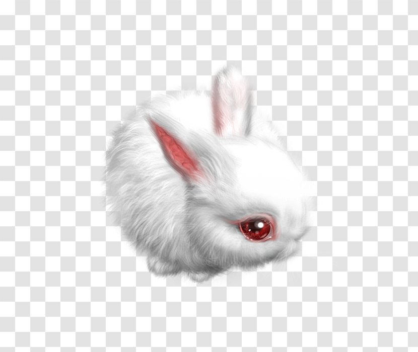 Domestic Rabbit Hare Little White - Rabits And Hares Transparent PNG