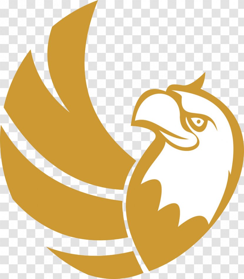 Bird Falcon Logo Eagle - Golden - Silhouette Transparent PNG