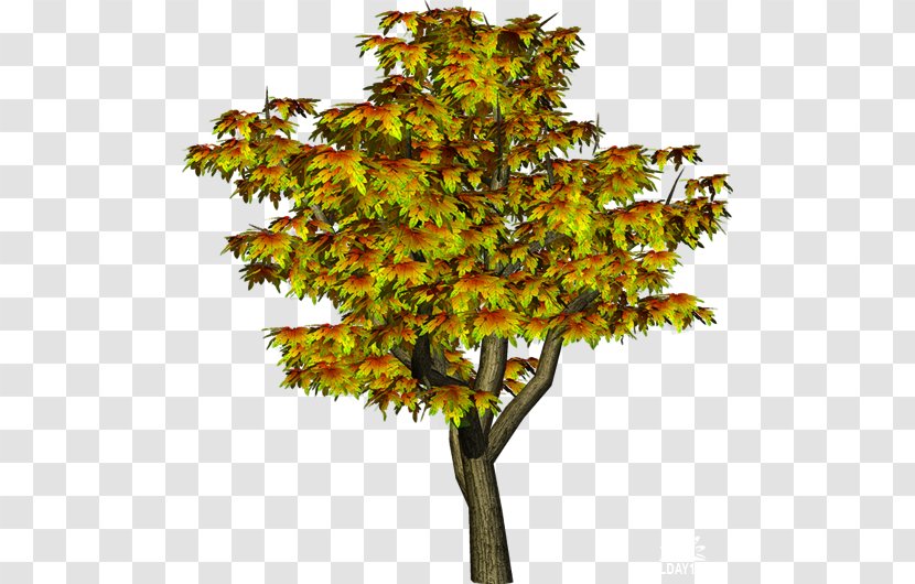 Tree Clip Art - Plant Transparent PNG