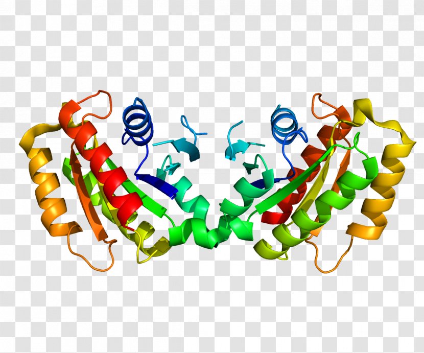LRRK2 Parkinson's Disease Protein Leucine-rich Repeat Amino Acid - Research Transparent PNG