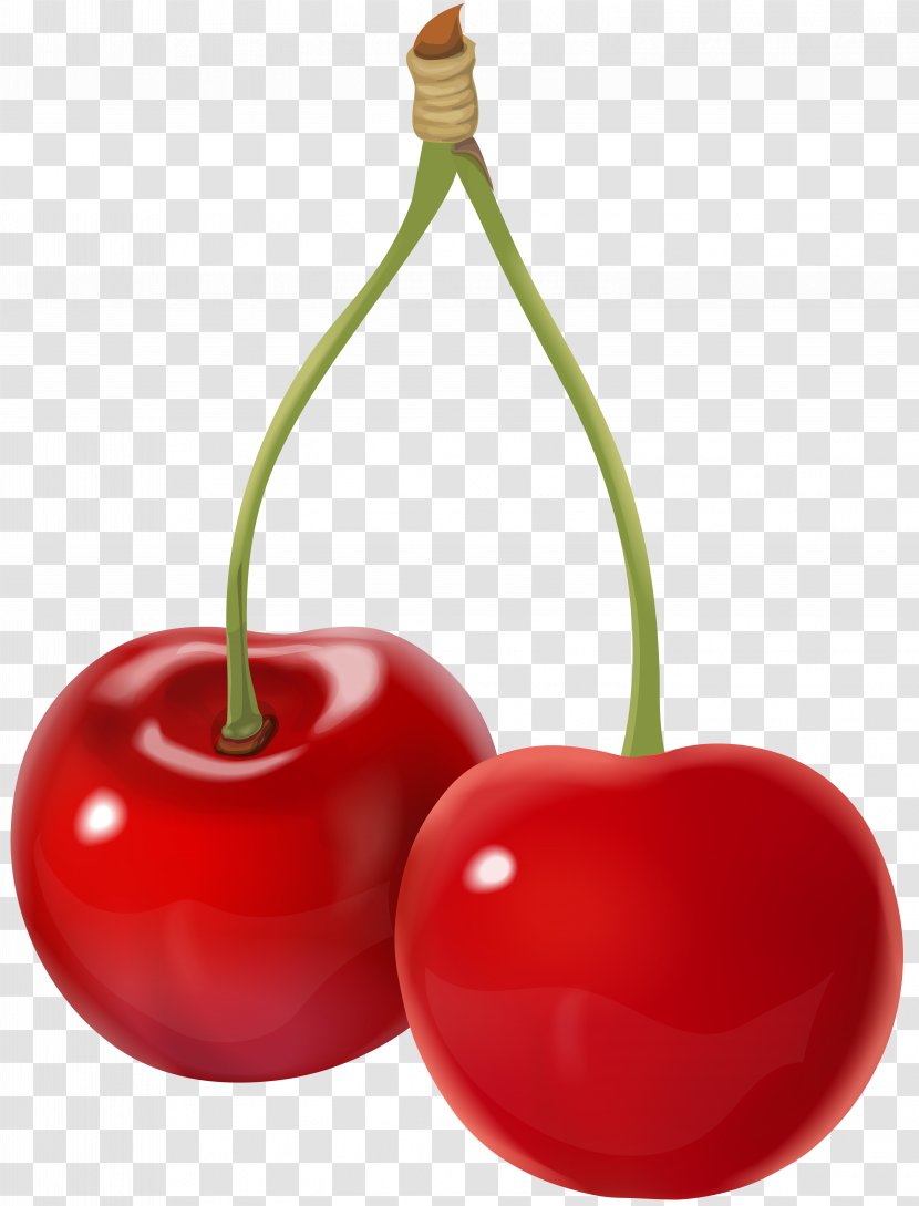 Cherry Clip Art - Fruit - Cherries Transparent PNG