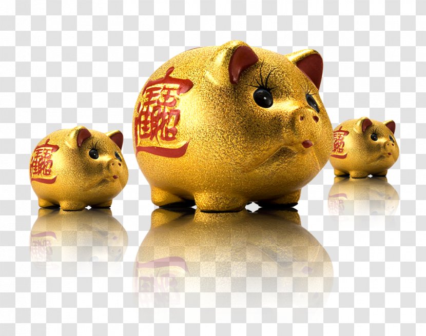 The Hongkong And Shanghai Banking Corporation Credit Card Financial Services Finance - Investment - Enterprise Golden Pig Money Pot Transparent PNG
