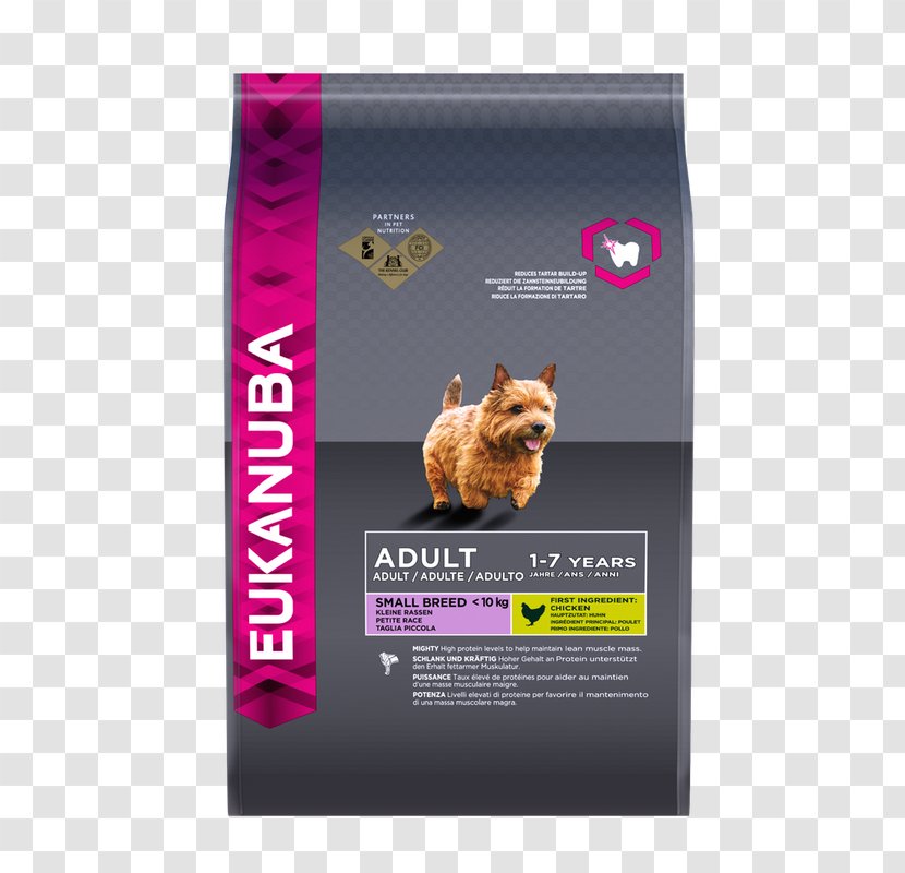 Puppy Maltese Dog Food Eukanuba Transparent PNG
