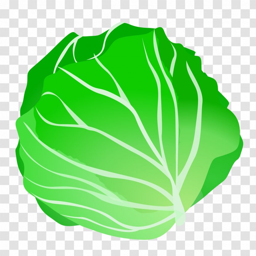 Leaf Vegetable Fruit Clip Art - Cabbage - Headshot Cliparts Transparent PNG