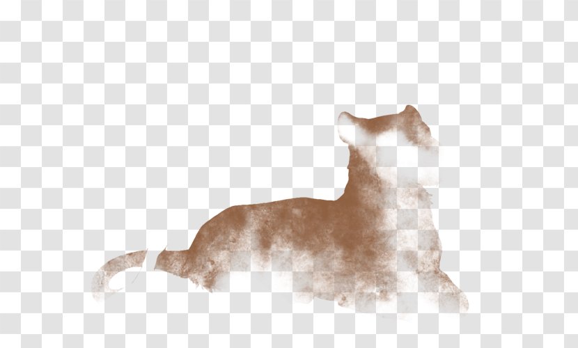 Puppy Kitten Whiskers Dog Breed Standard Schnauzer - Group Transparent PNG