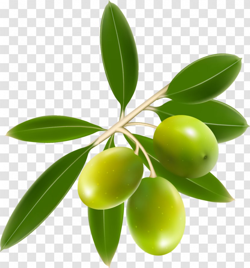Olive Oil Clip Art - Olives Transparent PNG