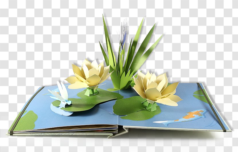 Floral Design - Flower Arranging - Pop Up Book Transparent PNG