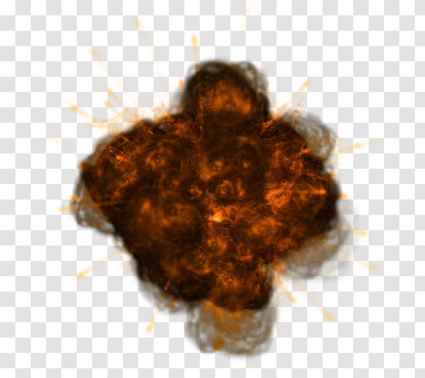 Explosive Effect Element E Net Material Library - Flower - Tree Transparent PNG