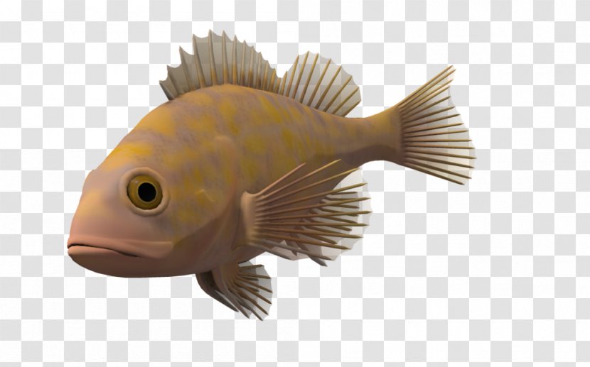 Download Computer File - Transparency And Translucency - Ocean Fish Transparent Background Transparent PNG