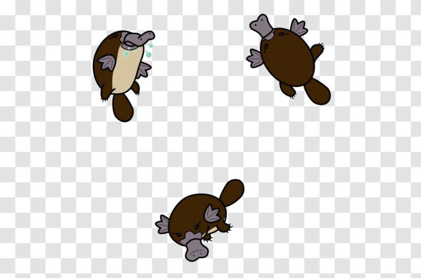 Venomous Mammal Platypus Ornithorhynchidae Clip Art - Sea Turtle - Venom Transparent PNG