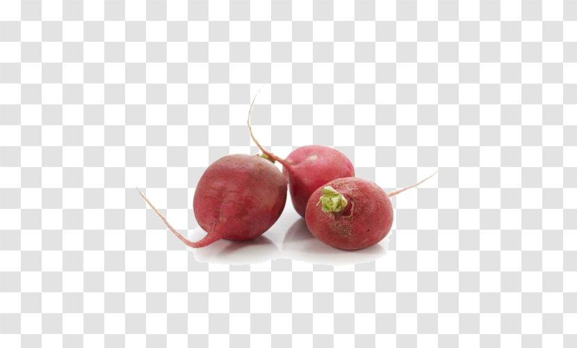 Carrot Radish Food - Berry - Free Image Button Transparent PNG