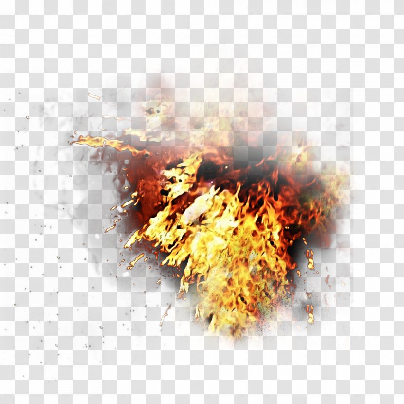 Fire Flame Design Image - Computer - Transparent Background Transparent PNG