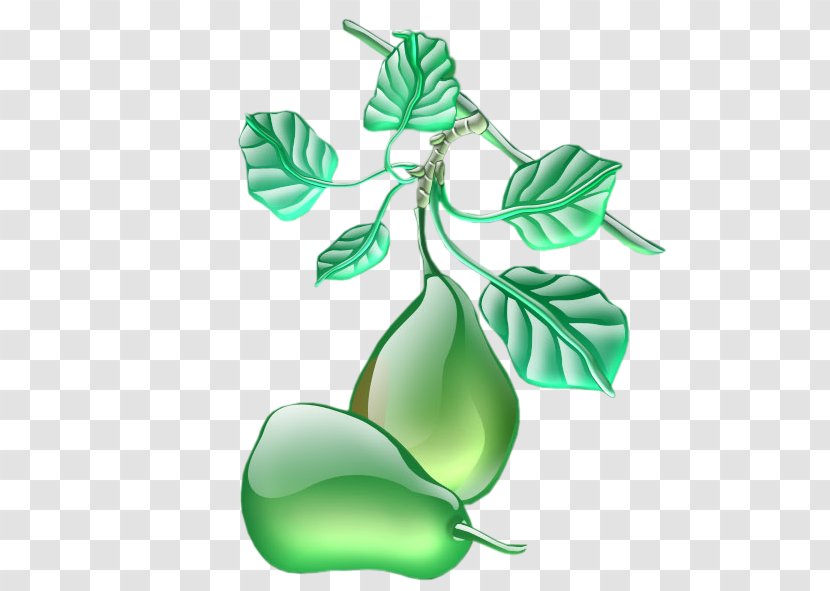 Fruit Pear Animation GIF Android - Plant Transparent PNG