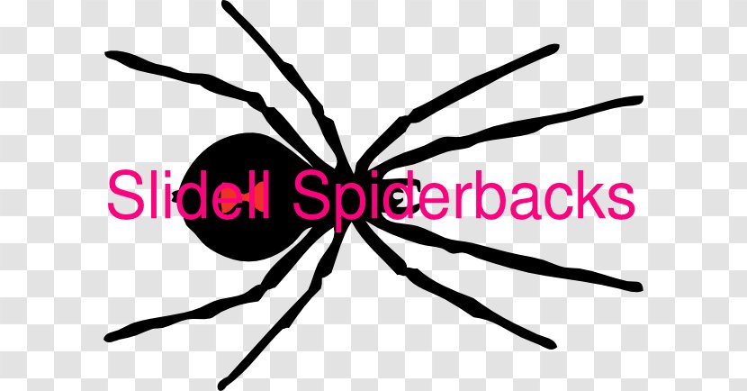 Spider Southern Black Widow Clip Art Image - Western - Destino O Senegal Transparent PNG