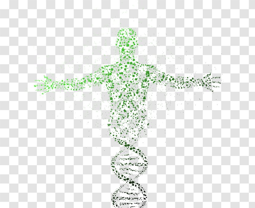 DNA Sequencing Genome Genealogical Test Genetics - Symbol - Biology Transparent PNG