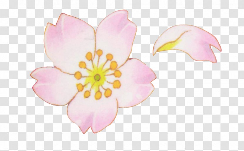 Petal Flower Blossom - Frame Transparent PNG