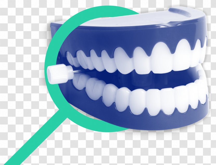 Chattery Teeth Stock Photography Wind-up Toy Human Tooth - Jaw - Dental Hospital Advertising Transparent PNG
