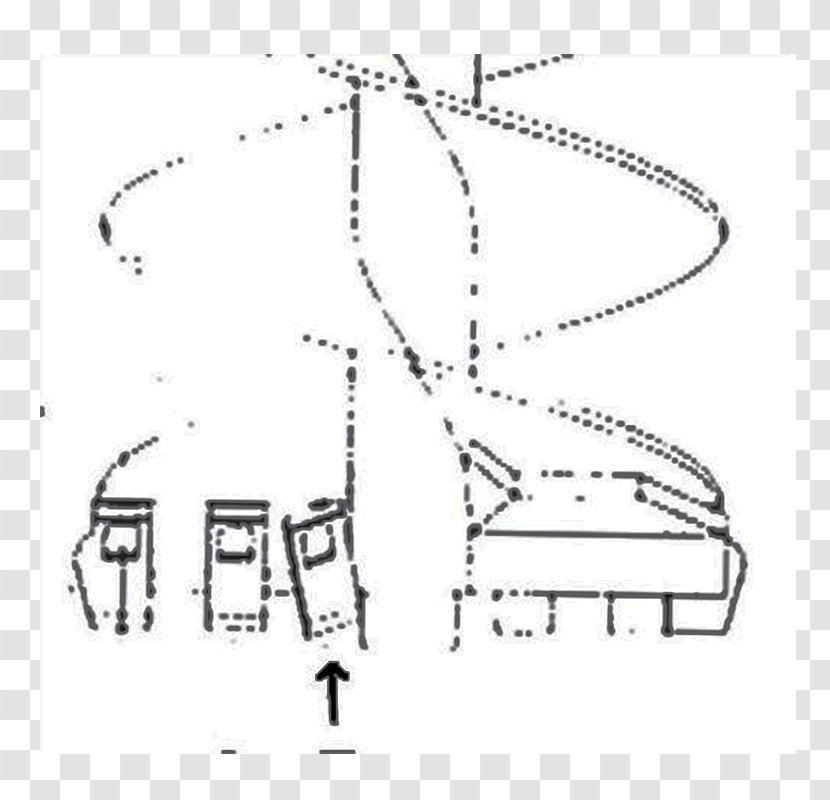 Drawing /m/02csf Dingo Diagram - Line Art - Wisdom Tooth Transparent PNG