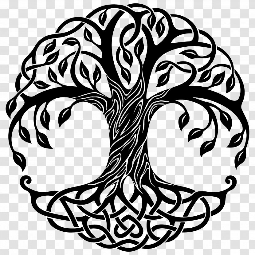 Tree Of Life Drawing - Symmetry - Celtic Style Transparent PNG