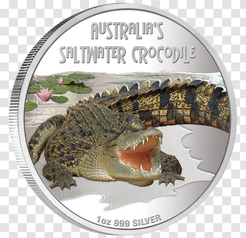 Nile Crocodile Perth Mint Alligator Coin - Saltwater Transparent PNG