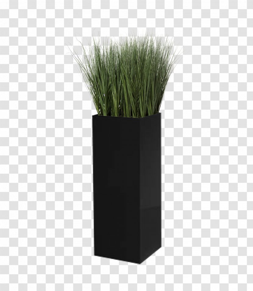 Grasses Flowerpot - Family - Design Transparent PNG