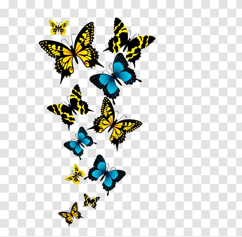 Butterfly Greta Oto Clip Art - Photography - Buterfly Transparent PNG