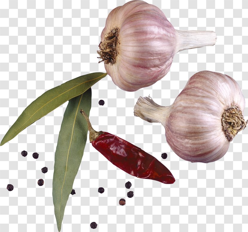 Garlic Seasoning Spices - Shallot - Flavor Transparent PNG
