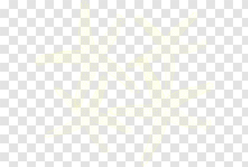 Diskothek Starfish Text Petal Angle Pattern - Post Cards - Yellow Clipart Transparent PNG